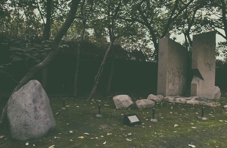 william威廉中文官网