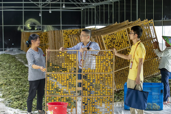 william威廉中文官网